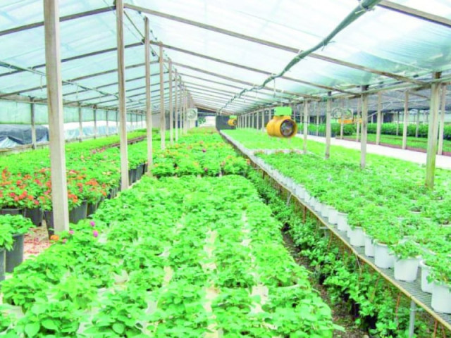 experts push for corporate farming experts push for corporate farming