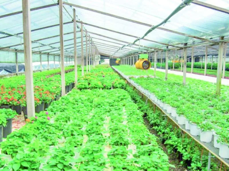 experts push for corporate farming experts push for corporate farming