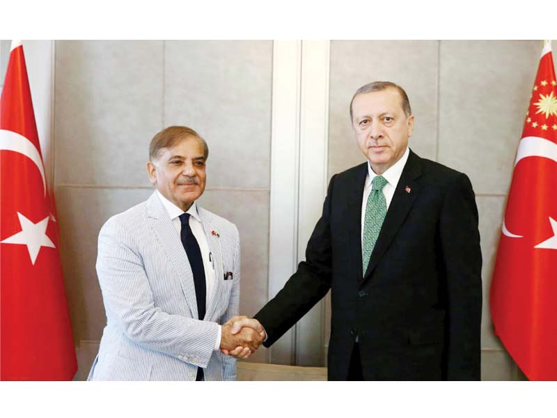 punjab chief minister shahbaz sharif met turkish president recep tayyip erdogan on a visit to turkey photo inp