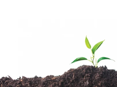 urea price raised ahead of tariff hike urea price raised ahead of tariff hike