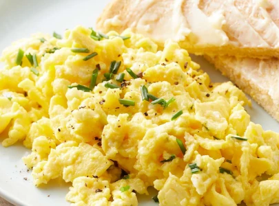 decoding protein power decoding protein power