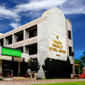 nine years on museum redesign work lingers on