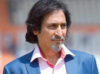 ramiz gives his verdict on pak campaign