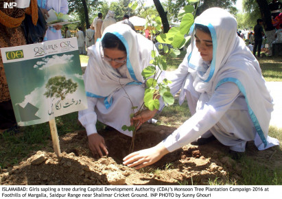 Students participating in Islamabad plantation efforts