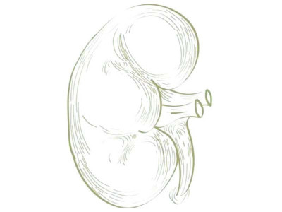 organ juggling major hospitals trade barbs over illegal transplants organ juggling major hospitals trade barbs over illegal transplants