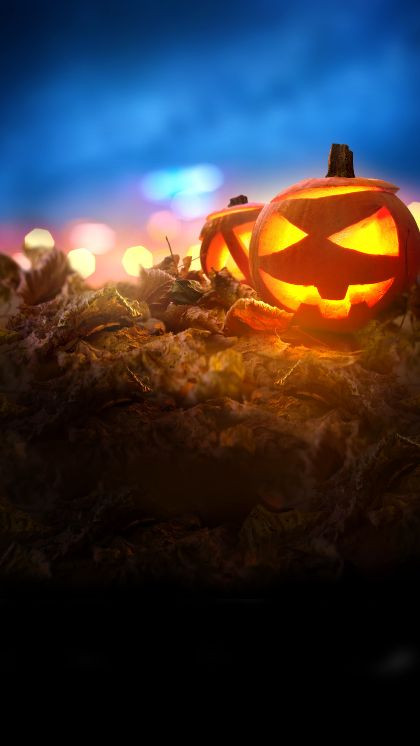 Updated Oct 30, 2024