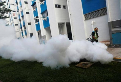 india confirms 13 of its nationals test positive for zika in singapore