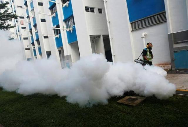 report comes after an outbreak of the disease that at first affected three dozen workers on a construction site photo reuters report comes after an outbreak of the disease that at first affected three dozen workers on a construction site photo reuters