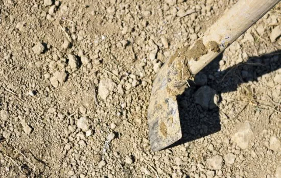 the body was transported to rohri taluka hospital for post mortem photo afp the body was transported to rohri taluka hospital for post mortem photo afp