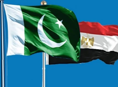 pakistan egypt agree to boost health sector cooperation pakistan egypt agree to boost health sector cooperation