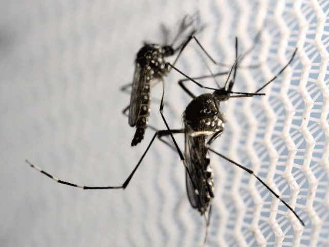 zika virus a new challenge for india s most populous state zika virus a new challenge for india s most populous state