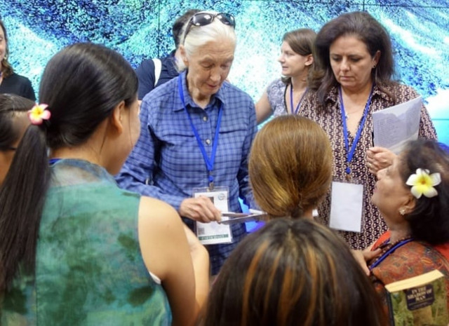 jane goodall signs autographs at the international union for conservation of nature world conservation congress in honolulu hawaii on september 2 2016 photo afp jane goodall signs autographs at the international union for conservation of nature world conservation congress in honolulu hawaii on september 2 2016 photo afp