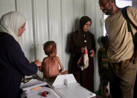 54 killed in fresh israeli air and hunger strikes