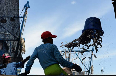 changing weather demand for fish rises as season begins changing weather demand for fish rises as season begins