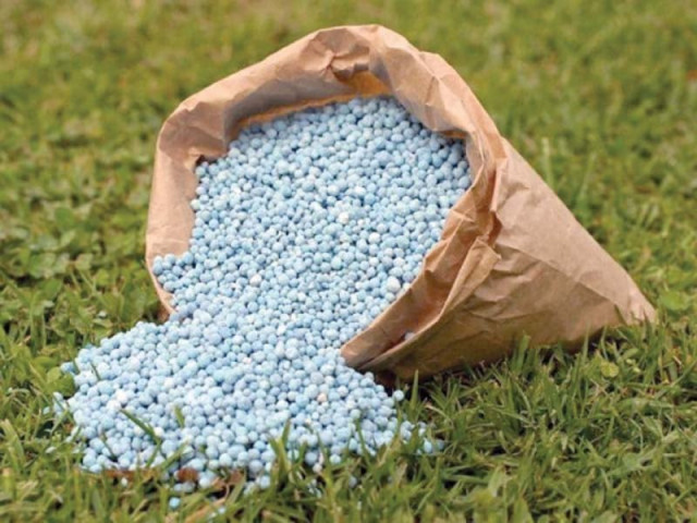 the fbr was supposed to establish a mechanism for the disbursement of subsidy among the importers of dap which was part of the rs20 billion subsidy announced by the federal government for the farmers photo file the fbr was supposed to establish a mechanism for the disbursement of subsidy among the importers of dap which was part of the rs20 billion subsidy announced by the federal government for the farmers photo file
