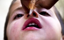 polio drive reaches over 43 7 million children across pakistan polio drive reaches over 43 7 million children across pakistan