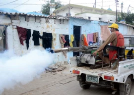 dengue alert issued expected to last until dec 5 dengue alert issued expected to last until dec 5