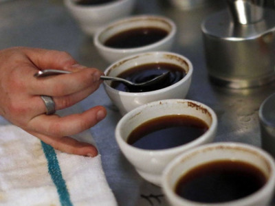 will coffee go extinct in your lifetime will coffee go extinct in your lifetime