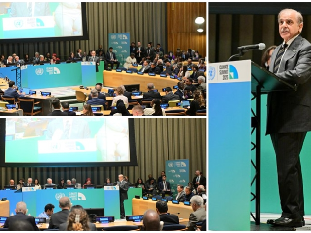 PM calls upon international community to honour its climate finance commitment