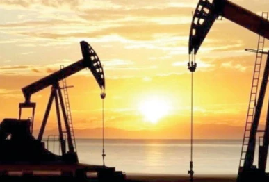 the meeting concluded with a mutual resolve to continue close collaboration between the ministry of petroleum and ogdc to overcome challenges and capitalise on opportunities within the energy sector photo file