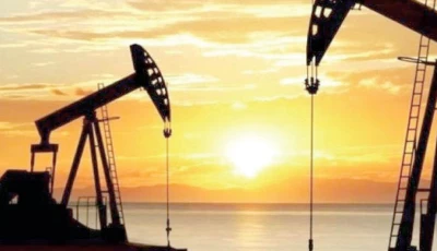 the meeting concluded with a mutual resolve to continue close collaboration between the ministry of petroleum and ogdc to overcome challenges and capitalise on opportunities within the energy sector photo file