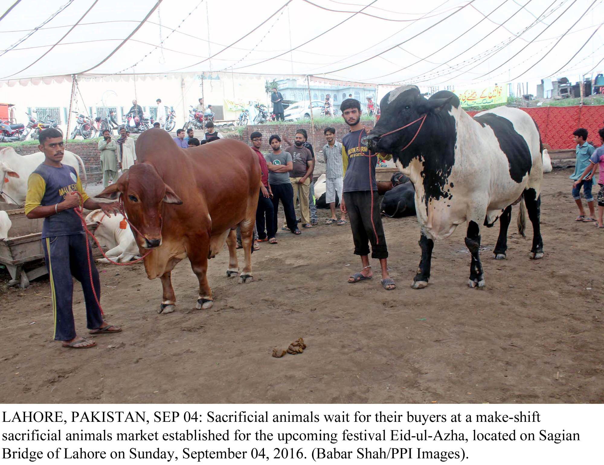 mpas khalid mahmood jajja mian muhammad islam aslam and syed waseem akhter also spoke on the occasion photo app