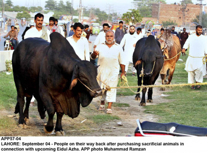 public health steps ordered to educate citizens about congo fever public health steps ordered to educate citizens about congo fever