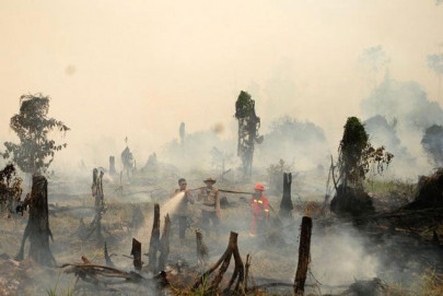 indonesia environment team threatened with death investigating haze