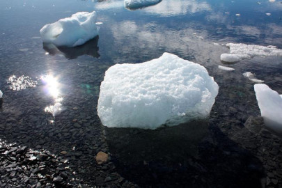 warming oceans are sick global scientists warn warming oceans are sick global scientists warn