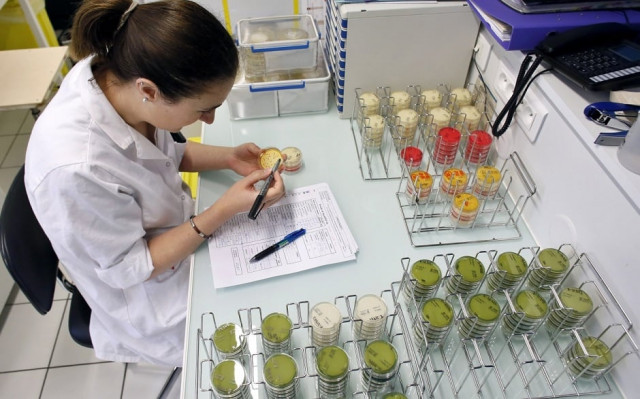 gene drive technology can eliminate the need for pesticides and could offer a remedy against invasive species photo afp gene drive technology can eliminate the need for pesticides and could offer a remedy against invasive species photo afp