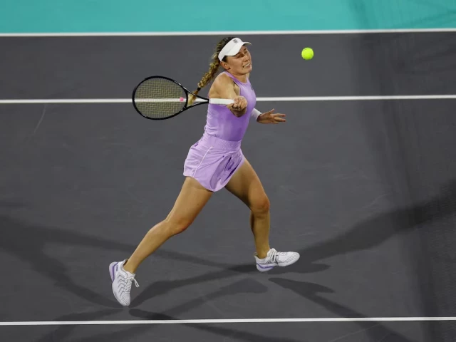 Alexandrova rallies to advance to Abu Dhabi finals
