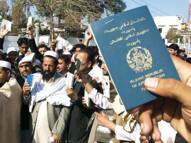 agencies detain afghan nationals from various towns of quetta including 100 students residing in the country photo nni