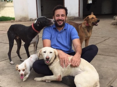actor tipu sharif s adopted stray dogs poisoned to death in karachi