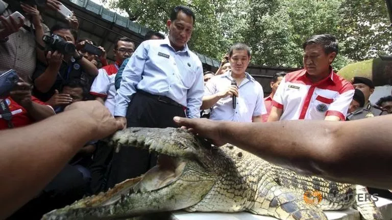 budi waseso chief of indonesia 039 s national anti narcotics agency photo reuters budi waseso chief of indonesia 039 s national anti narcotics agency photo reuters