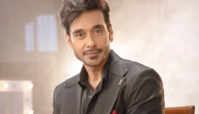 faysal quraishi irked at karachi s disappearing green spaces