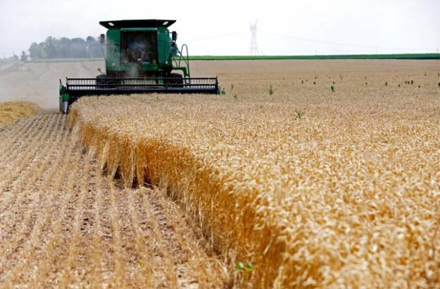 islamabad has been looking to sell surplus commodity for a while photo reuters islamabad has been looking to sell surplus commodity for a while photo reuters
