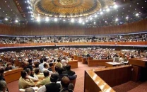 na panel approves ppp authority bill na panel approves ppp authority bill