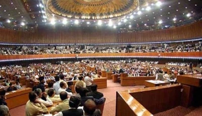 na panel approves ppp authority bill