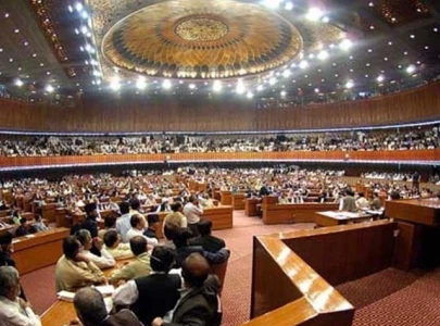 na panel approves ppp authority bill na panel approves ppp authority bill