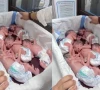quetta woman gives birth to rare quintuplets quetta woman gives birth to rare quintuplets