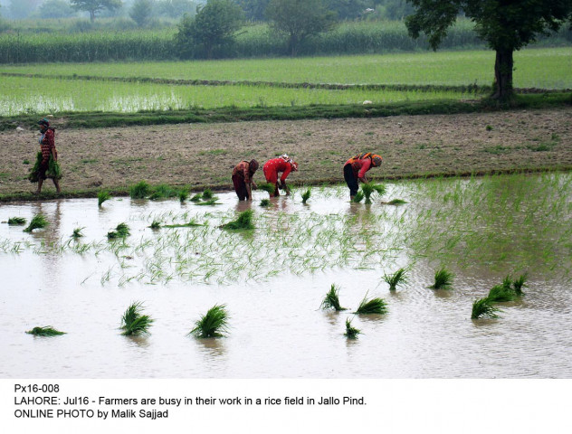 the government held a draw for farmers in dera ghazi khan on thursday photo online the government held a draw for farmers in dera ghazi khan on thursday photo online