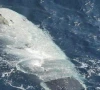 iran captures us unmanned submersible