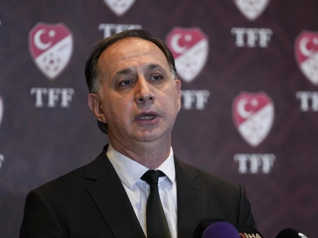Court detains Turkey football ref chief