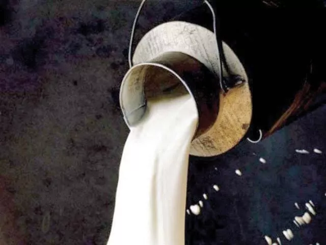adulterated milk being sold in the market photo file adulterated milk being sold in the market photo file
