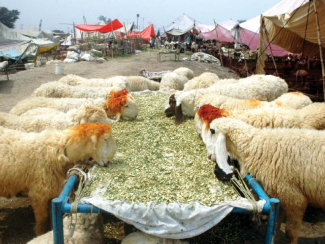 some traders say prices are 50 per cent higher than last year photo abid nawaz express some traders say prices are 50 per cent higher than last year photo abid nawaz express