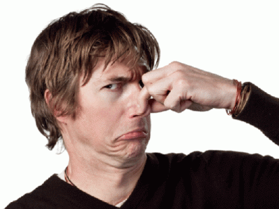 five ways to rid your house of that awful bakra smell five ways to rid your house of that awful bakra smell