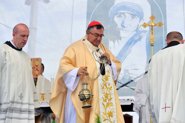 cardinal vinko puljic c archbishop of sarajevo attends celebrations in the main square in skopje on september 11 2016 at the conclusion of a special day of thanksgiving for the canonization of mother teresa photo afp cardinal vinko puljic c archbishop of sarajevo attends celebrations in the main square in skopje on september 11 2016 at the conclusion of a special day of thanksgiving for the canonization of mother teresa photo afp