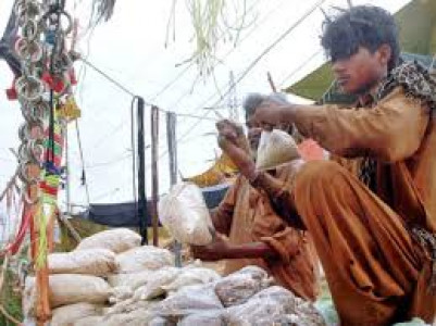 making money fodder stalls set up illegally on rent