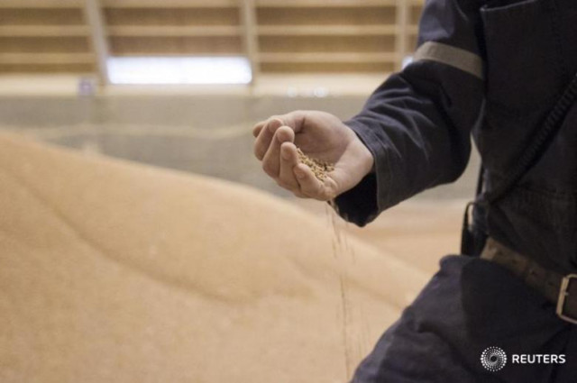 chris mckay potashcorp load out supervisor at the cory mine examines potash inside one of the storage facilities near saskatoon saskatchewan photo reuters