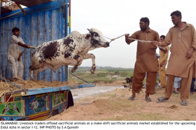 careless attitude congo dengue outbreak feared after eid break careless attitude congo dengue outbreak feared after eid break